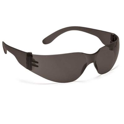 Ecovision / 2 protective glasses