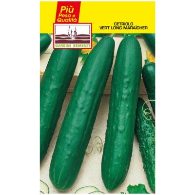 Bag green seeds long cucumber Gargini sementi