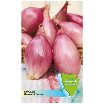 Packet of seeds red onion of Lucca Gargini sementi