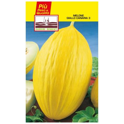 Canary yellow melon seed bags 3 Gargini sementi