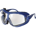 Professional protective glasses "543 / 11bc"